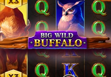 Игра Big Wild Buffalo в NetGame казино
